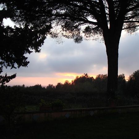 Ai Cipressi Bed and Breakfast Salemi Buitenkant foto